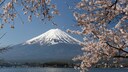 Blick auf Mount Fuji in Japan – in der Stadt Fujikawaguchiko soll wegen zu vieler Touristen nun ein Sichtschutz errichtet werden