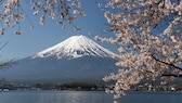 Blick auf Mount Fuji in Japan – in der Stadt Fujikawaguchiko soll wegen zu vieler Touristen nun ein Sichtschutz errichtet werden