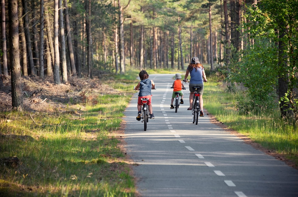 Fahrrad Dänemark