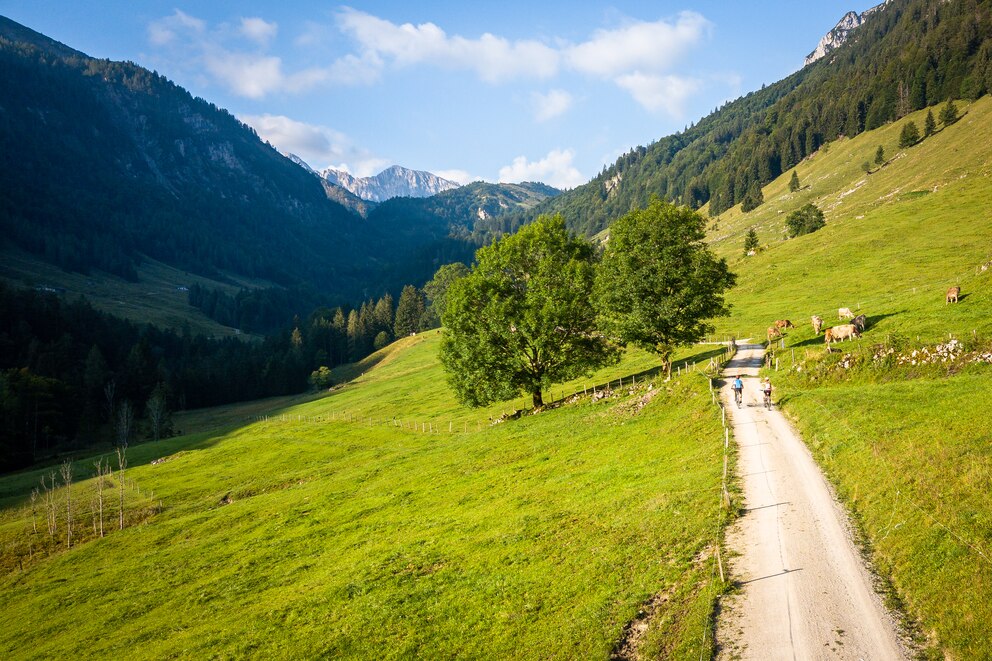 Action und Natur pur – erleben Sie eine rasante Mountainbike-Tour durch den Kaiserwinkl.