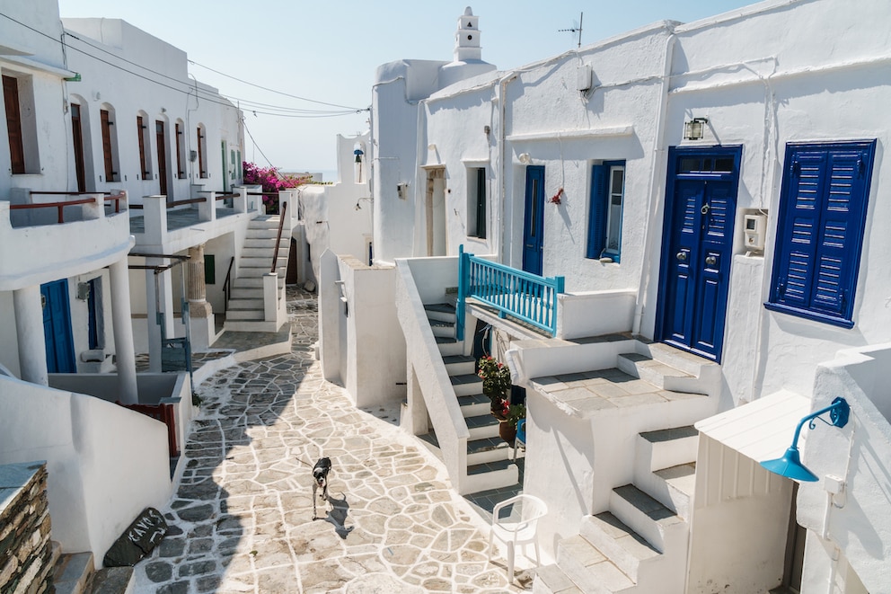 Santorin Alternativen: Blick auf Gassen von Sifnos mit weißen Wänden und farbigen Fensterläden