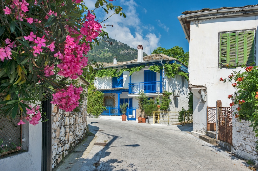 Santorin Alternativen: Blick auf Gassen von Thassos mit weißen Wänden und farbigen Fensterläden