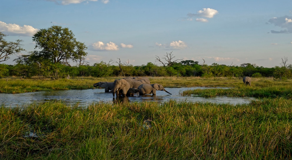 Botswana ist für seine atemberaubende Naturlandschaft bekannt