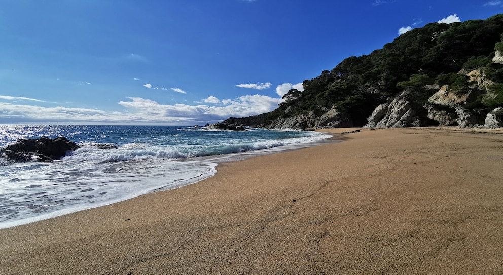 Playa Cala Sa Boadella liegt abseits der überlaufenen Stadtstrände von Lloret de Mar 