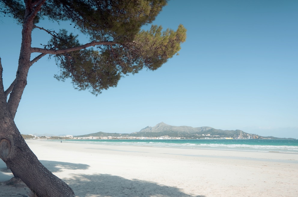 Playa de Alcúdia