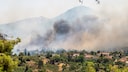 Die Waldbrände in Griechenland haben sich im letzten Jahr bis nach Athen ausgebreitet.
