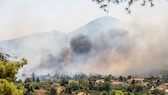 Die Waldbrände in Griechenland haben sich im letzten Jahr bis nach Athen ausgebreitet.