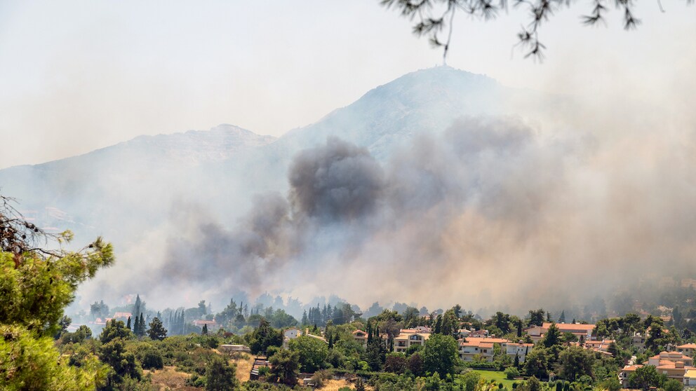 Die Waldbrände in Griechenland haben sich im letzten Jahr bis nach Athen ausgebreitet.