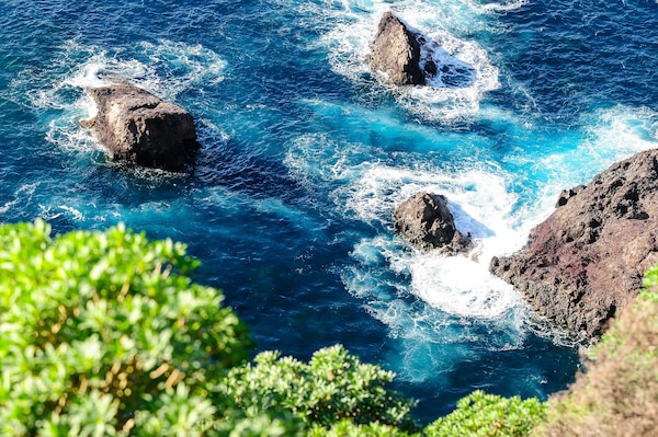 La Palma, Urlaubsangebote