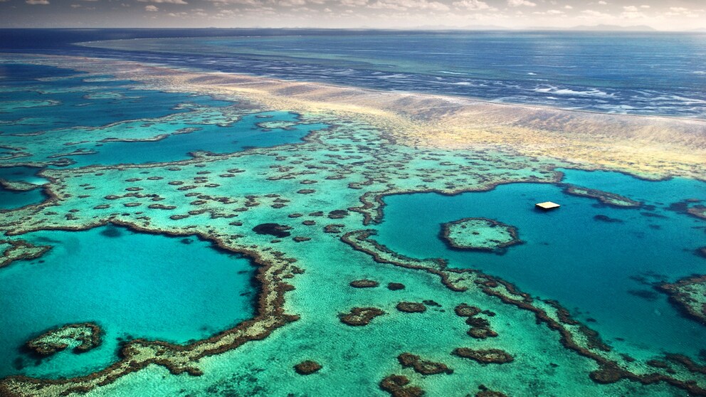 Das Great Barrier Reef ist ein Naturwunder, welches es bald nicht mehr geben wird