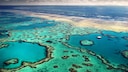 Das Great Barrier Reef ist ein Naturwunder, welches es bald nicht mehr geben wird
