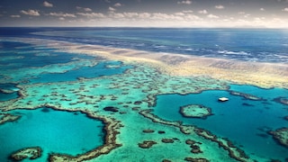 Das Great Barrier Reef ist ein Naturwunder, welches es bald nicht mehr geben wird