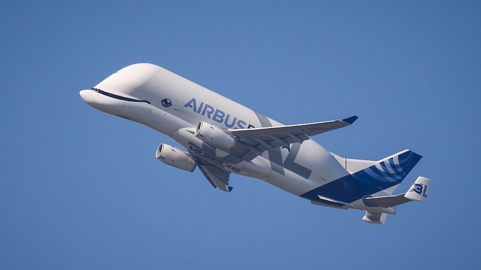 Der Beluga XL von Airbus bekommt eine eigene Airline - TRAVELBOOK