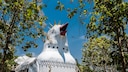 Chicken Church