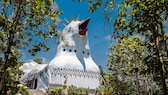 Chicken Church