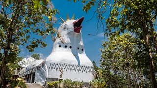 Chicken Church