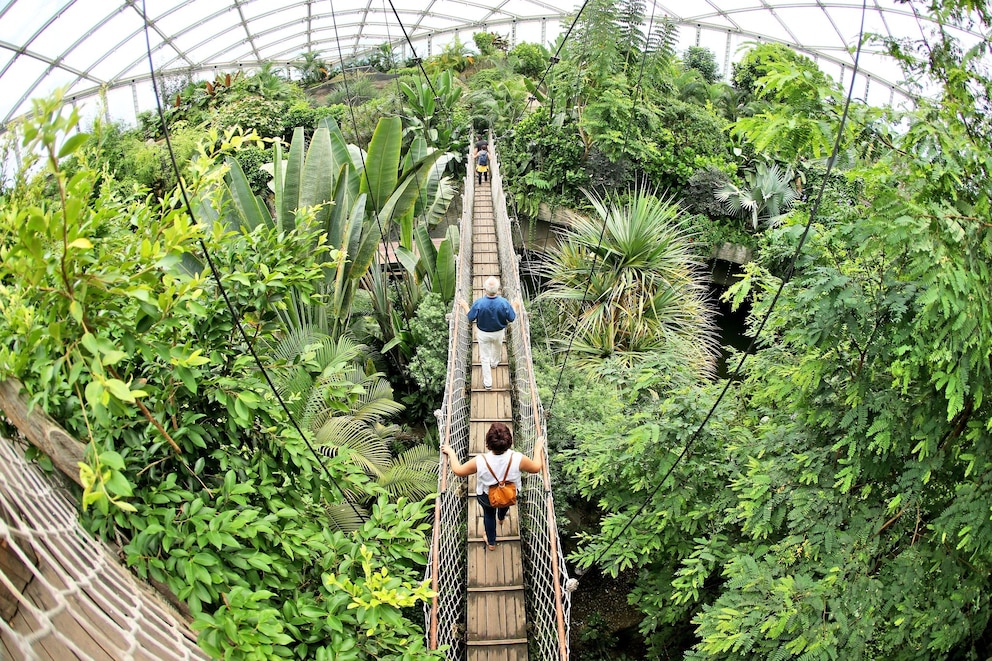 Gondwanaland im Zoo Leipzig