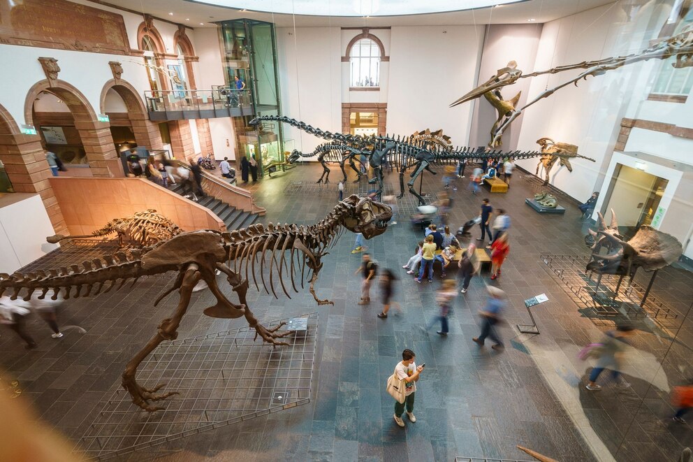 Senckenberg Naturmuseum in Frankfurt/Main