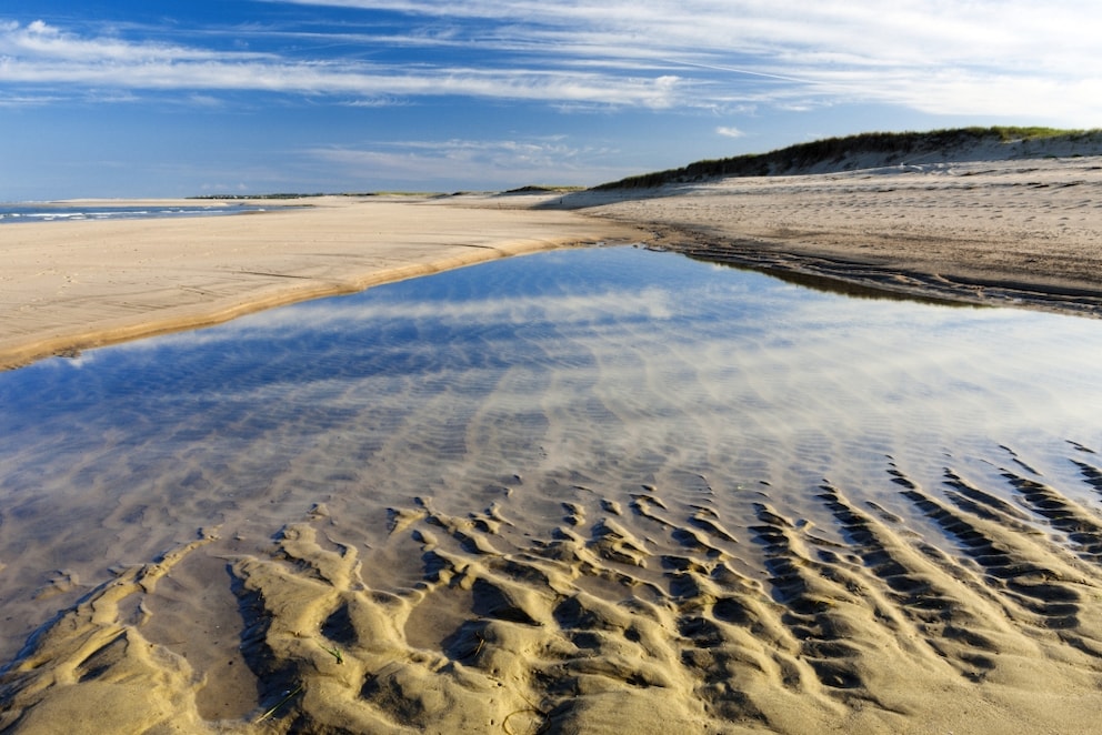 Coast Guard Beach on Cape Cod in Massachusetts is one of the most beautiful beaches in the U.S.