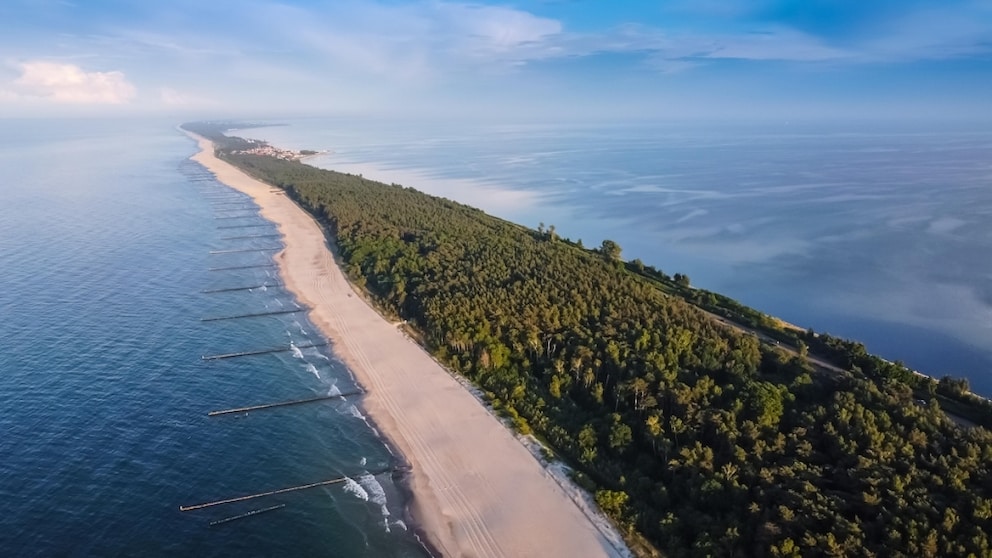 On the Hel Peninsula, long, wide sandy beaches transition into natural dunes and coastal forests