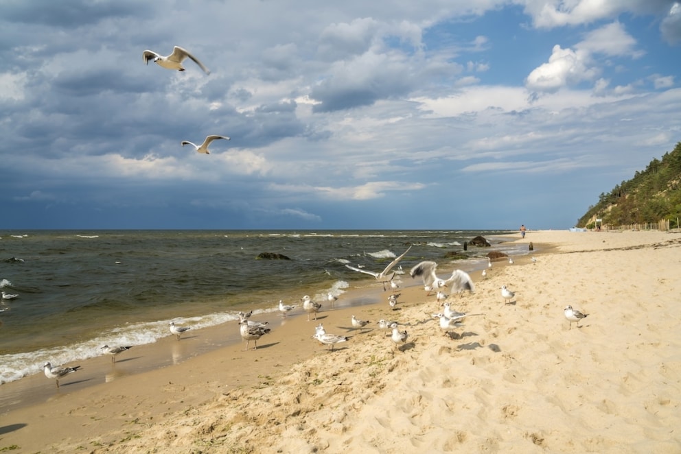 Poland offers many beautiful beaches