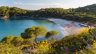 Der Strand von Fetovaia auf der Insel Elba in Italien ist perfekt für einen Urlaub im August
