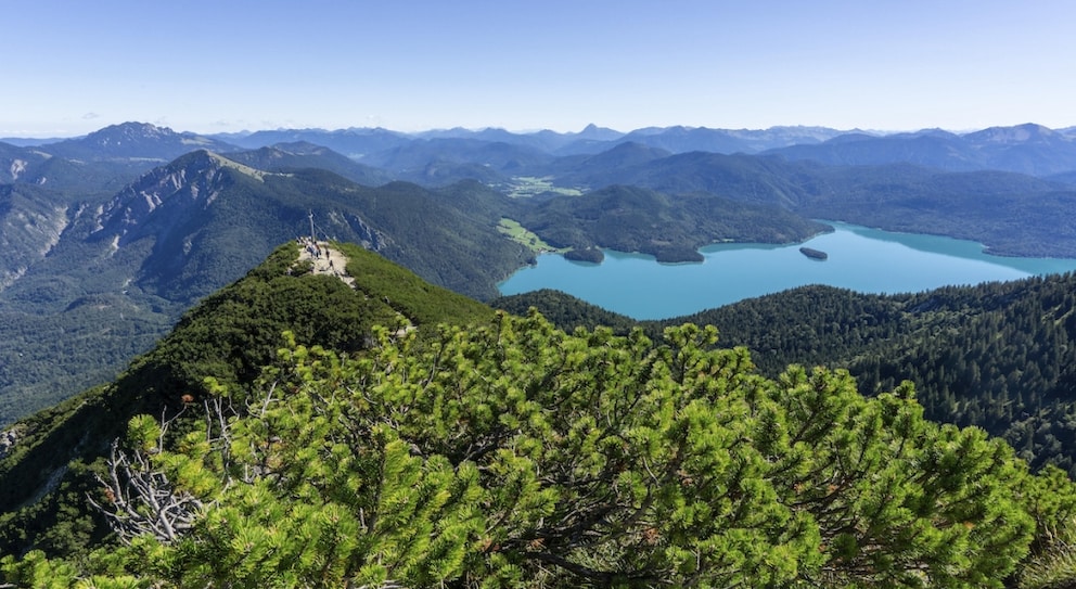 The view from Herzogstand reveals the view of Jochberg, Benediktenwand, Jachenau, and Walchensee