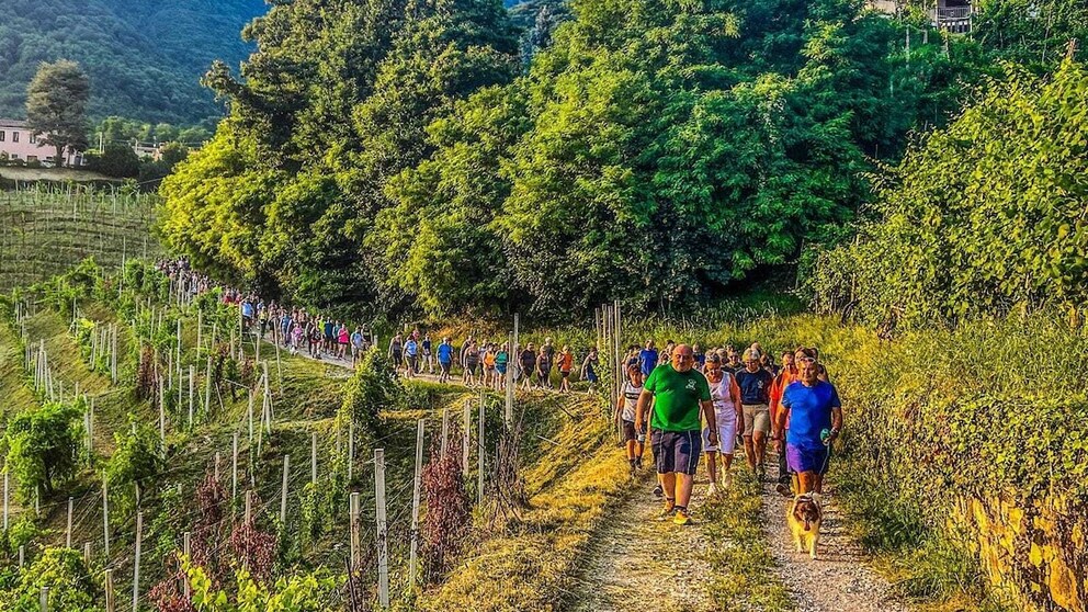 Das Dorf Valdobbiadene unterstützt seinen Bürgermeister tatkräftig beim Abnehmen