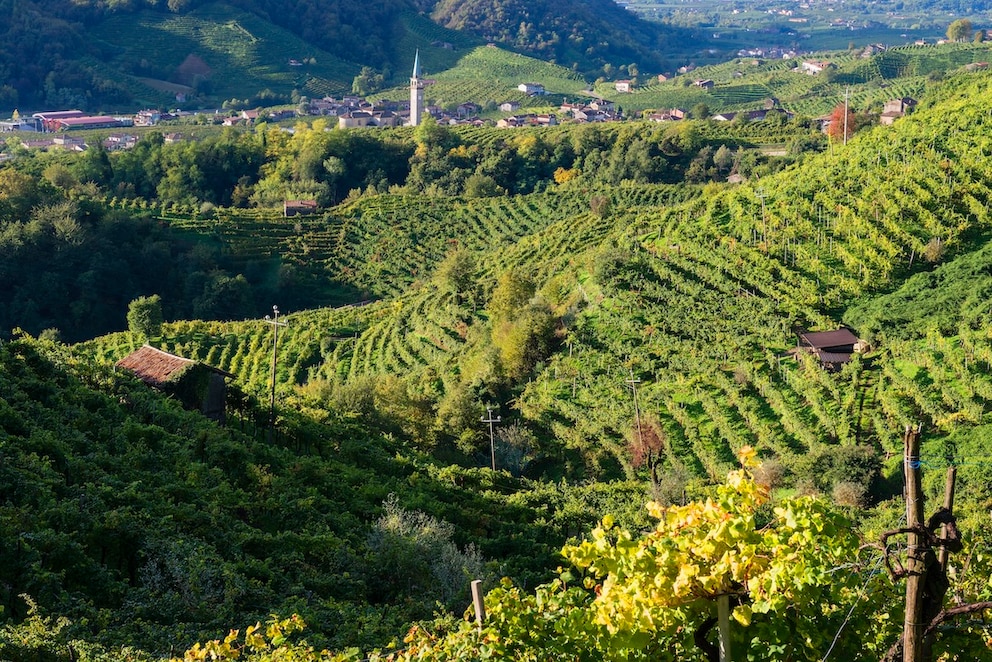 Weinberge von Valdobbiadene