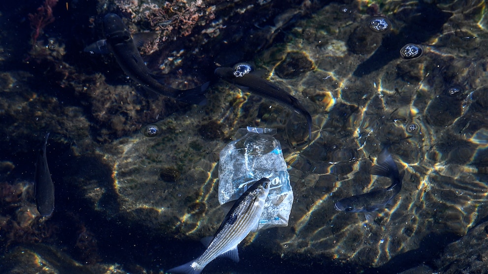 Verschmutzung im Mittelmeer