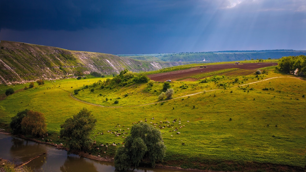 Eine Landschaft in der Republik Moldau
