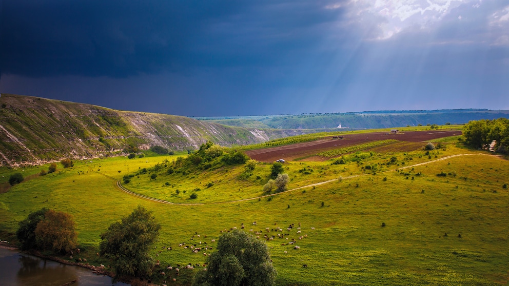 Eine Landschaft in der Republik Moldau