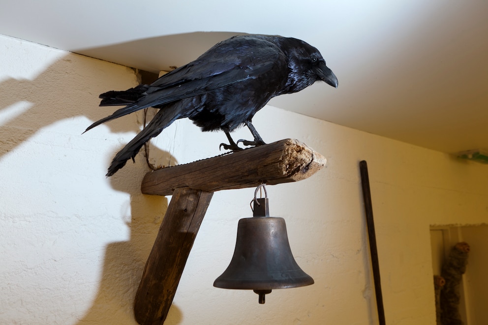 Islands Museum für Hexerei und Zauberei in Hólmavik erwartet Besucher mit skurrilen Exponaten