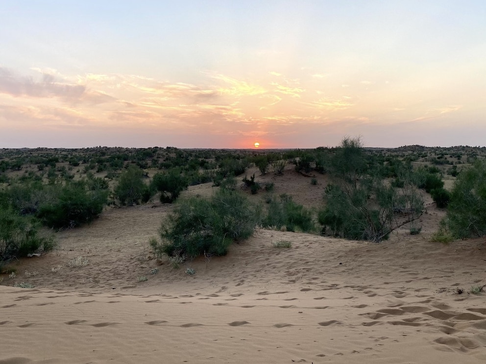 Ein besonderer Moment: Der Sonnenuntergang in der Kysylkum-Wüste