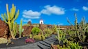 Auf der Insel Lanzarote darf nur ein einziges Haus höher als eine ausgewachsene Palme sein