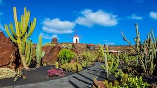 Auf der Insel Lanzarote darf nur ein einziges Haus höher als eine ausgewachsene Palme sein