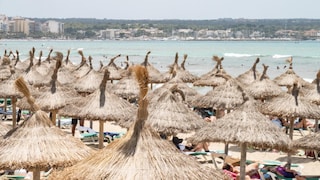 Sonnenschirme an der Playa de Palma: Ein Platz an der Sonne – wer eine Liege in der ersten Reihe reservieren will, muss früh aufstehen. Aber ist das überhaupt gestattet?