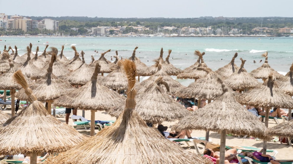 Sonnenschirme an der Playa de Palma: Ein Platz an der Sonne – wer eine Liege in der ersten Reihe reservieren will, muss früh aufstehen. Aber ist das überhaupt gestattet?