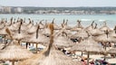 Sonnenschirme an der Playa de Palma: Ein Platz an der Sonne – wer eine Liege in der ersten Reihe reservieren will, muss früh aufstehen. Aber ist das überhaupt gestattet?