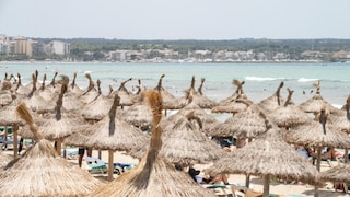 Sonnenschirme an der Playa de Palma: Ein Platz an der Sonne – wer eine Liege in der ersten Reihe reservieren will, muss früh aufstehen. Aber ist das überhaupt gestattet?