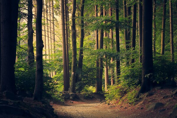 urlaubsangebote, harz