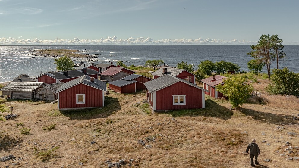 Maakalla