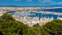 Palma Bosque Metropolitano