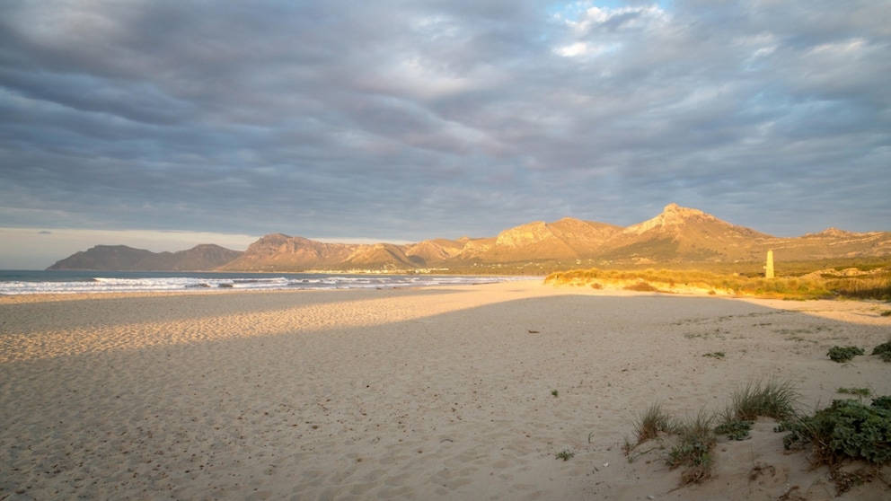 Evening mood at the deserted beach Son Serra de Marina
