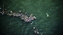 Forscher haben analysiert, wo das Mittelmeer besonders vermüllt ist – und sogenannte „Müllschwaden“ kartografiert