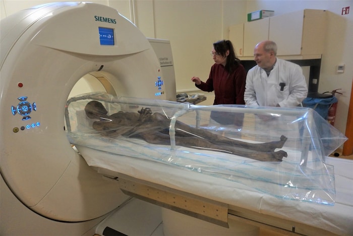 Here the mummy of Knight Kalebuz is being placed into the scanner