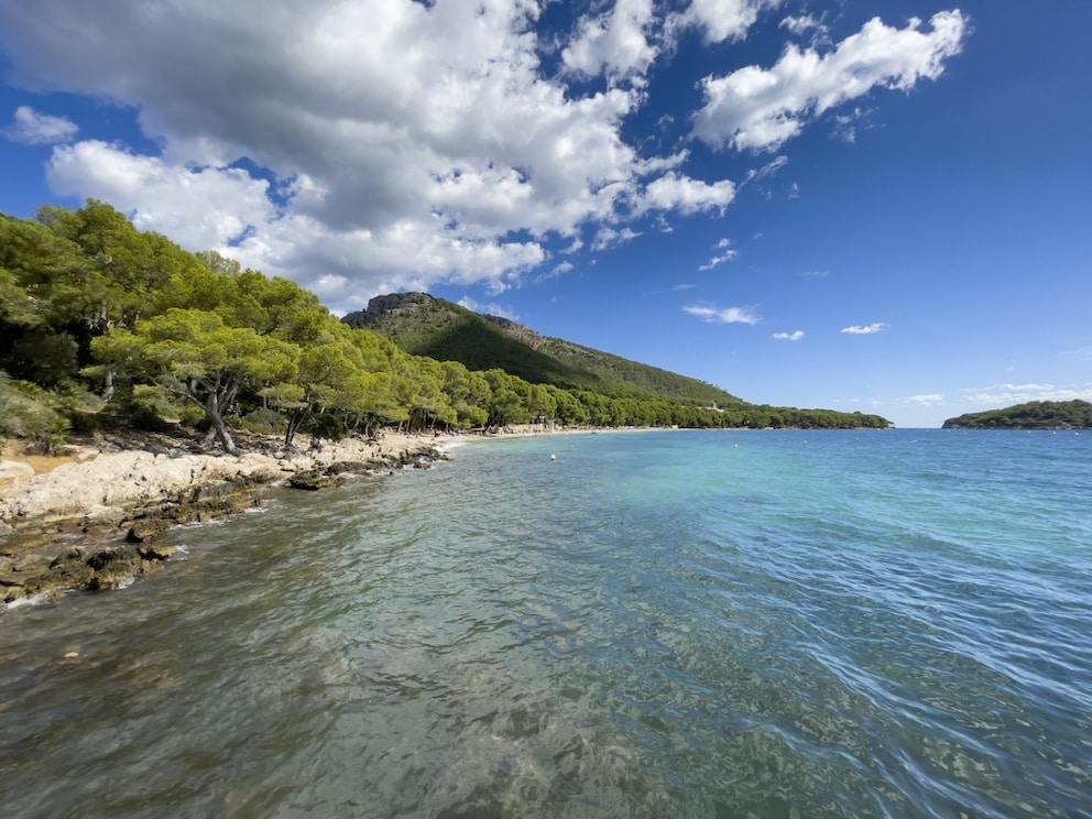 Sandy beach and crystal-clear water, but also some tourists await you at the beach of Formentor