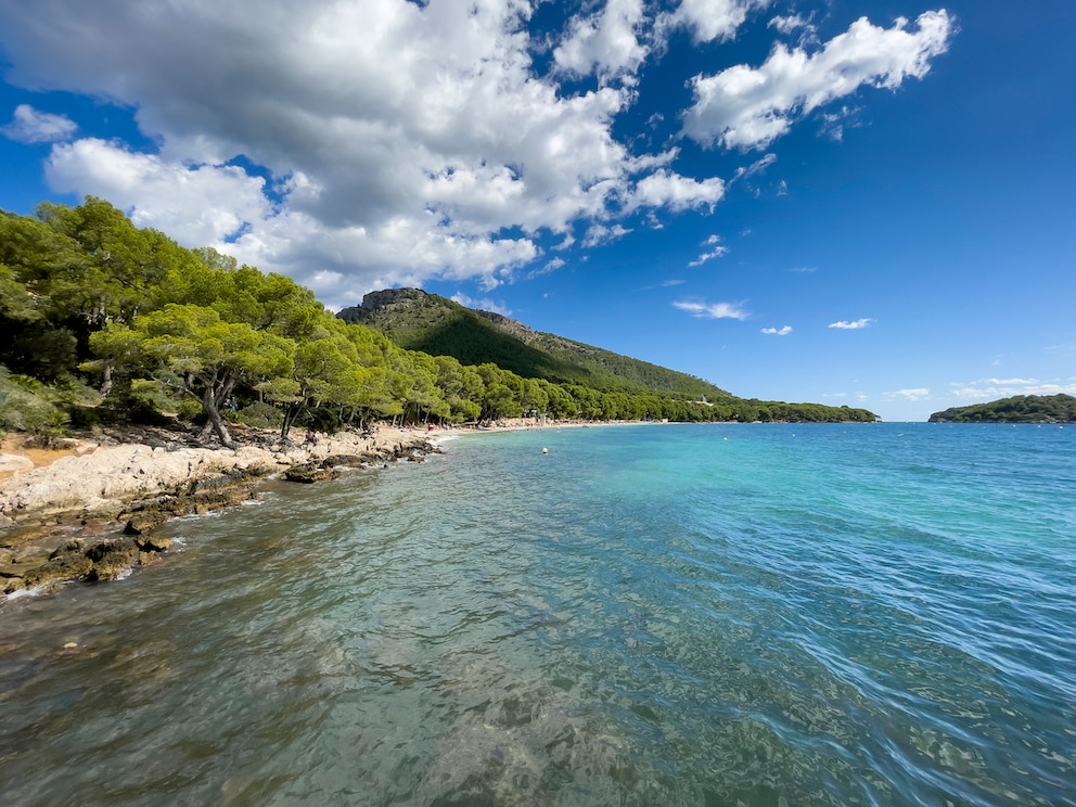 Sandstrand und glasklares Wasser, aber auch einige Touristen erwarten einen am Strand von Formentor