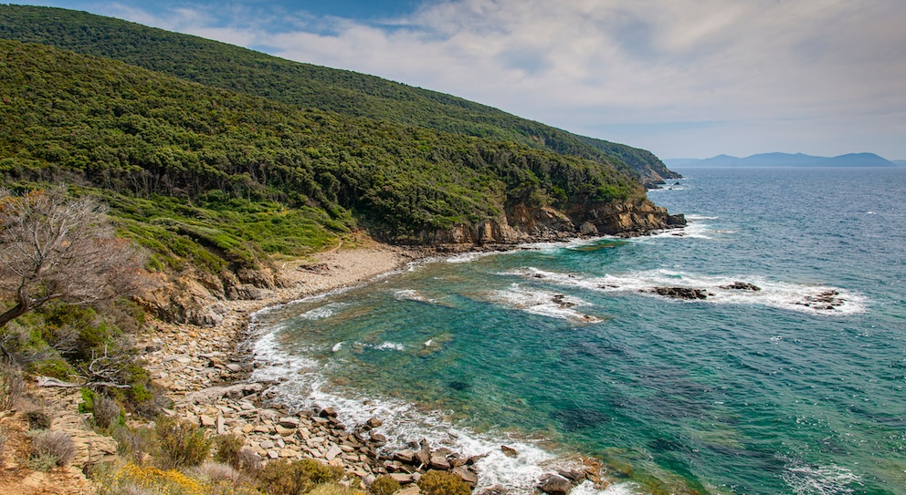 Der Strand Buca delle Date nahe Piombino gehört zu den schönsten Stränden der Toskana