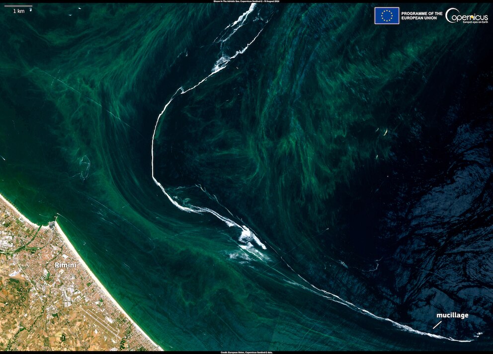 Eine Satellitenaufnahme zeigt die Ausmaße der Schleimwelle vor Rimini